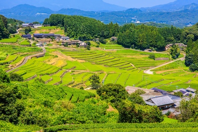 鬼木棚田で風景を味わう｜畦と光を楽しむ見学と撮影の基本作法