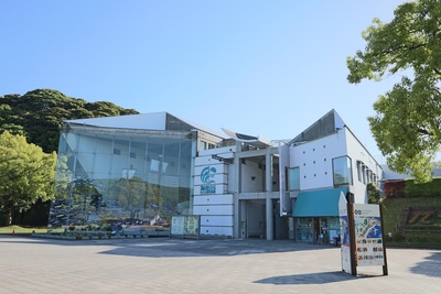 九十九島水族館海きらら、泳ぎ方から楽しむ水槽観察と親子の見学