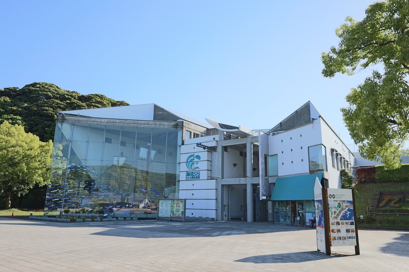 九十九島水族館海きらら、泳ぎ方から楽しむ水槽観察と親子の見学