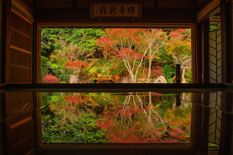 寿福寺で静かに庭を眺めるには｜室内拝観の所作と写真の残し方