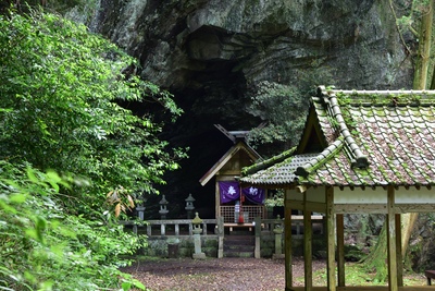雲仙市の岩戸神社で森に耳を澄ます｜参拝の流れと木々の眺め方