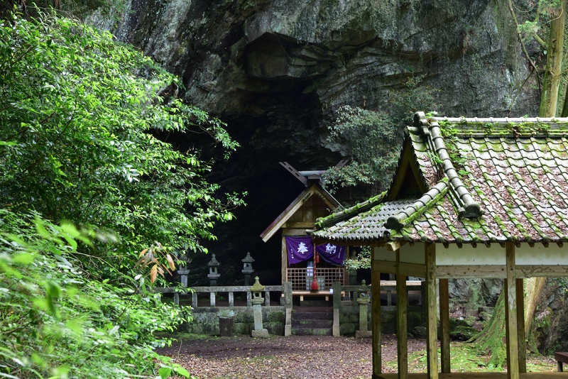 雲仙市の岩戸神社で森に耳を澄ます｜参拝の流れと木々の眺め方