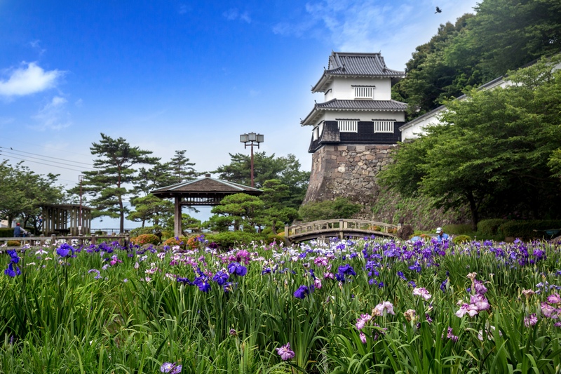 大村公園（玖島城跡）で石垣を読む｜水辺と園路の見学ポイント