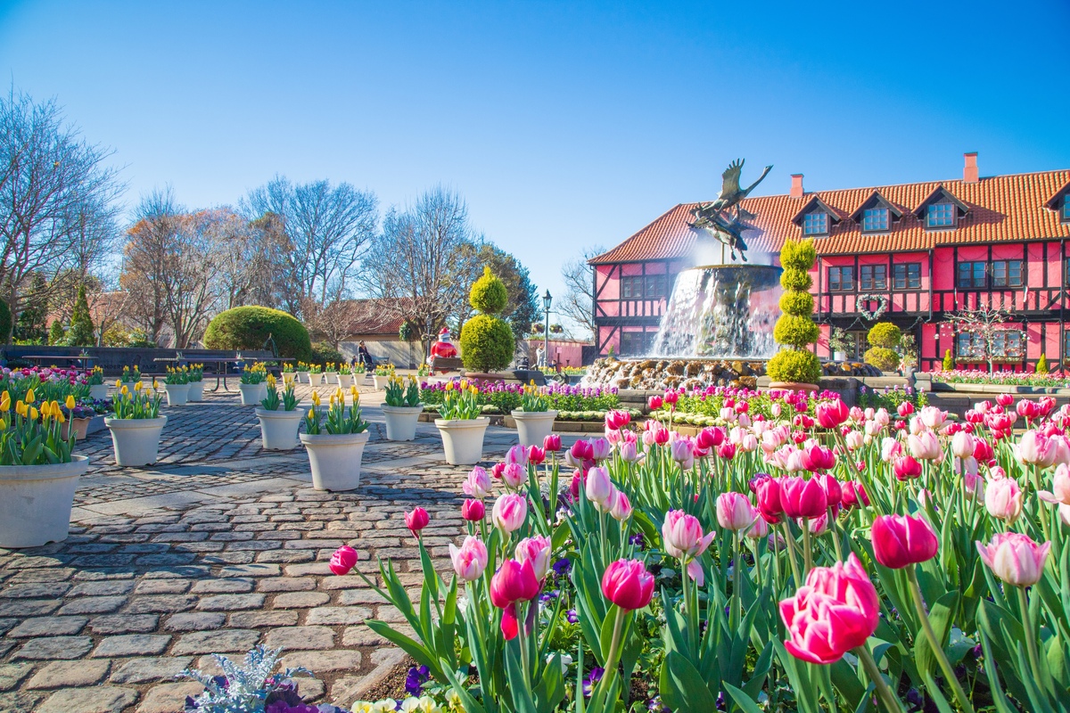 ふなばしアンデルセン公園で何をする？5ゾーンの遊び方と家族の準備