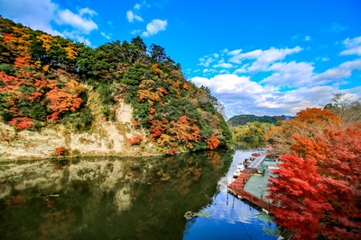 亀山湖（君津市）の見どころ｜亀山ダムの歴史と25橋めぐりの楽しみ方