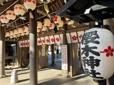野田の櫻木神社はなぜ桜の宮？由緒・御祭神・縁結びの桜と御朱印の始まり