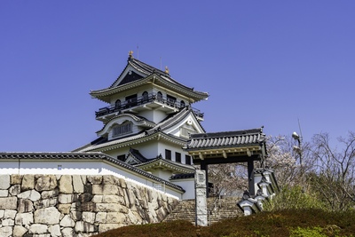 河原城（お城山展望台）の見どころ｜丸山城跡の歴史・郷土館の展示と天守からの眺望