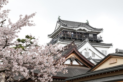 愛知・岡崎城｜家康ゆかりの城と公園を歩く歴史さんぽ
